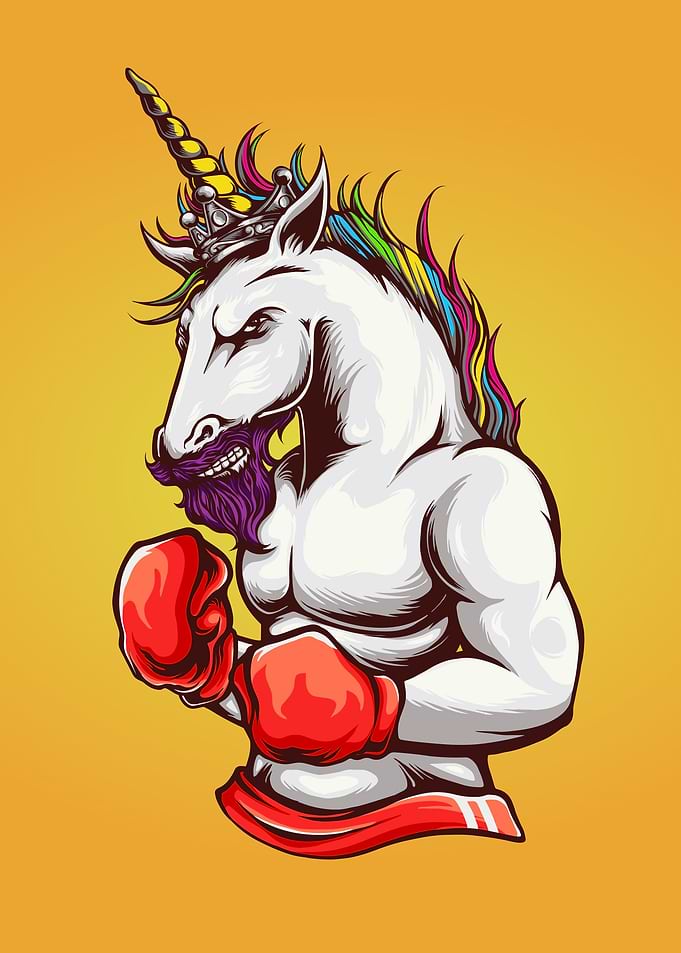 Boxer unicorn