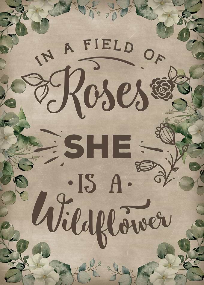 In a field of roses