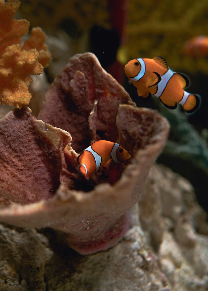 Under Water