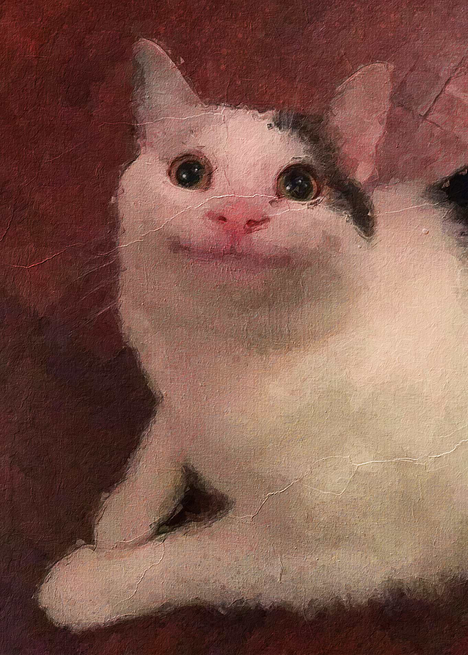 Cat meme