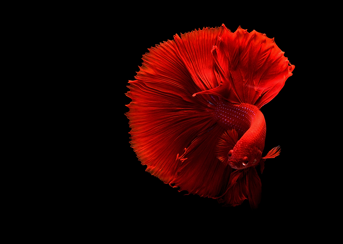 Under Water