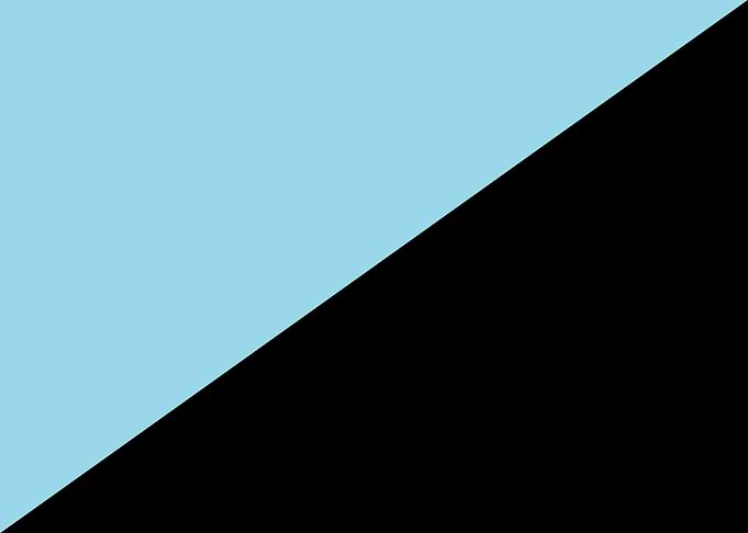 Anarcho individualism flag