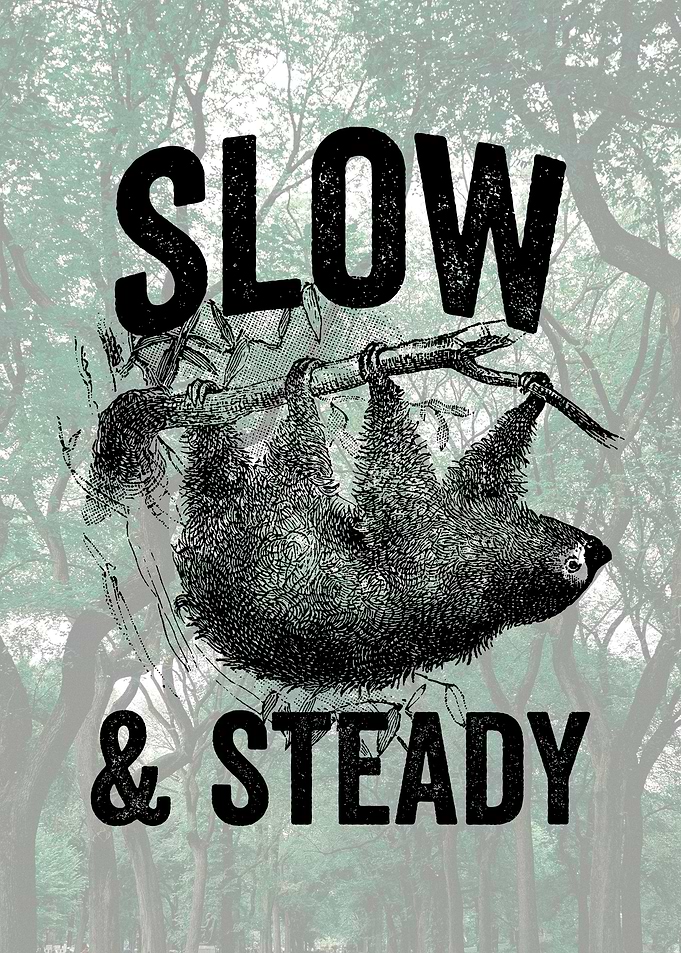 Sloth Slow and Steady