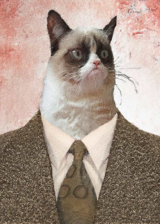 Cat meme
