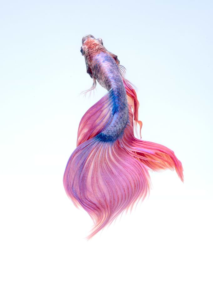 Under Water