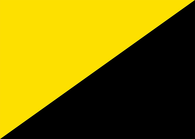 Anarcho capitalism flag