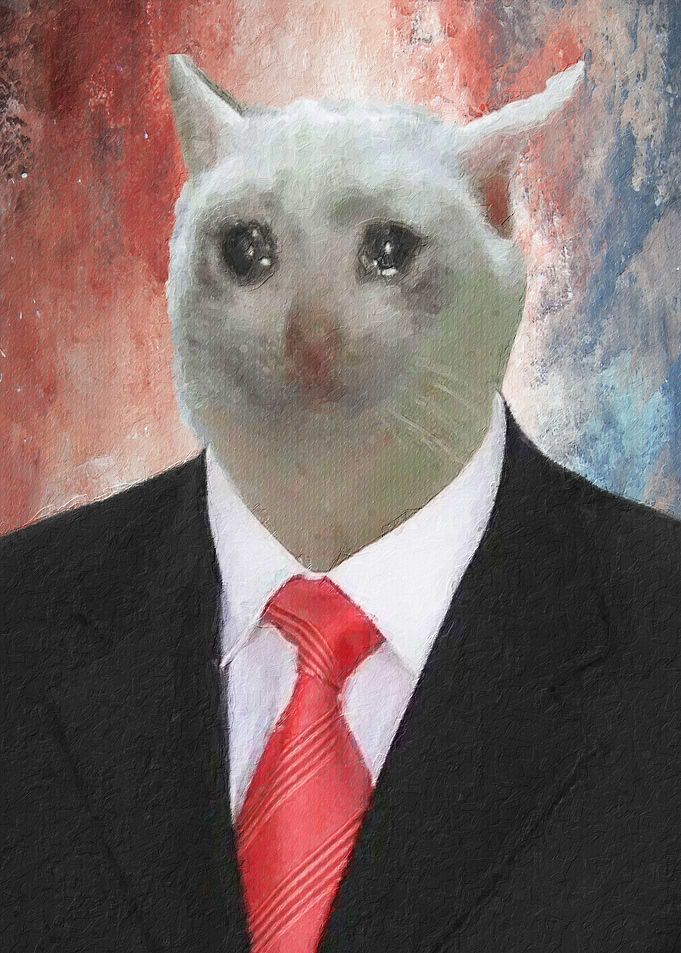Cat meme