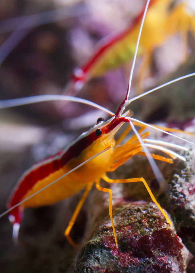 Under Water