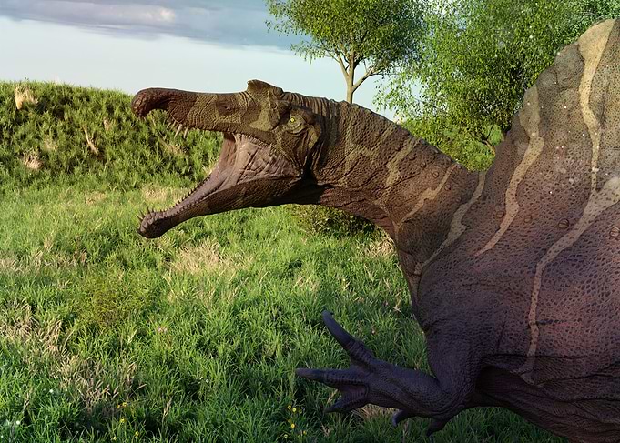 Spinosaurus dinosaur