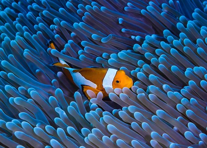 Under Water