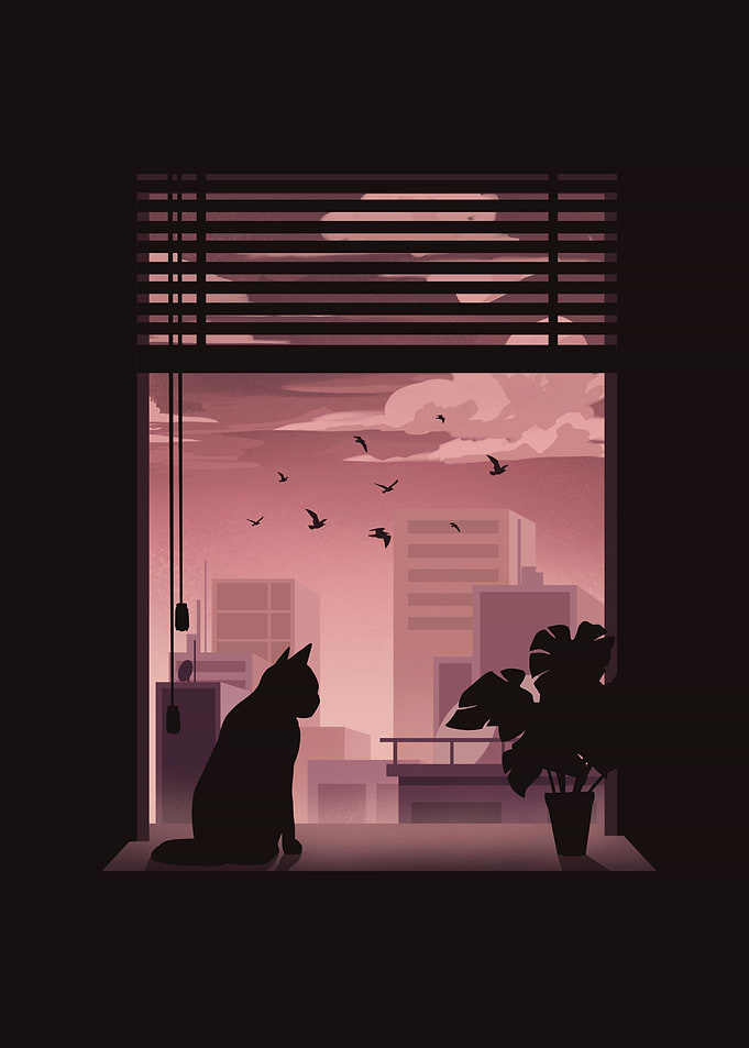 Cute Cat