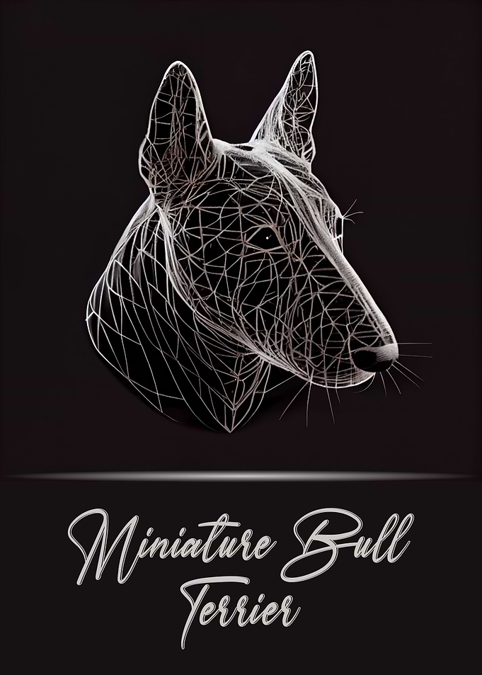 Miniature Bull Terrier