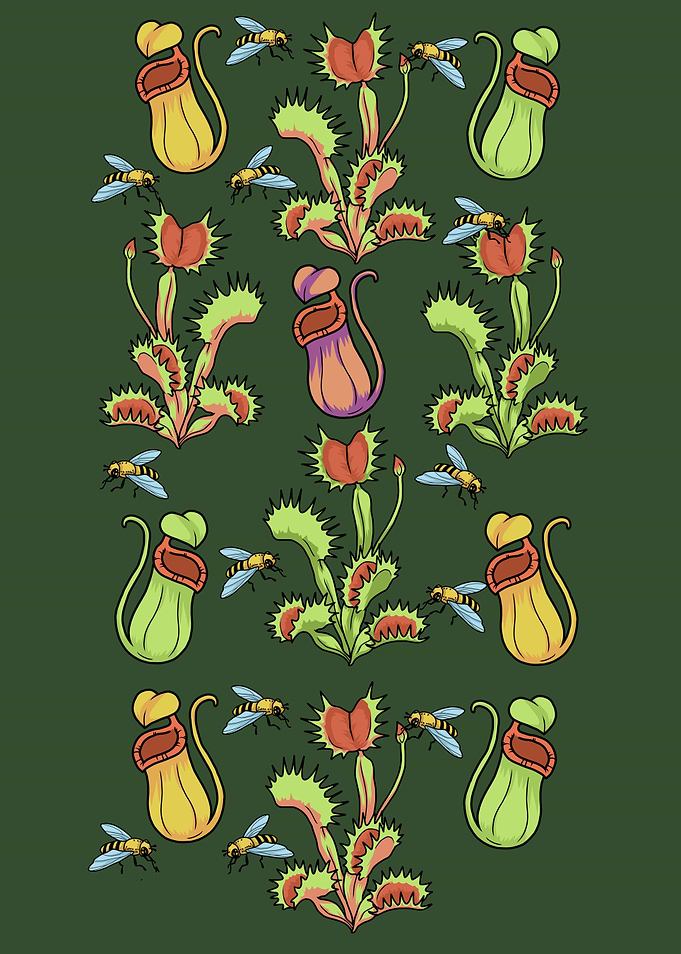 Carnivorous Plants Venus