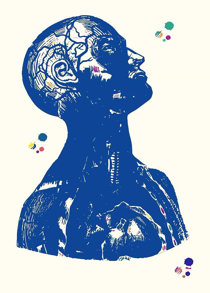 Head And Torso