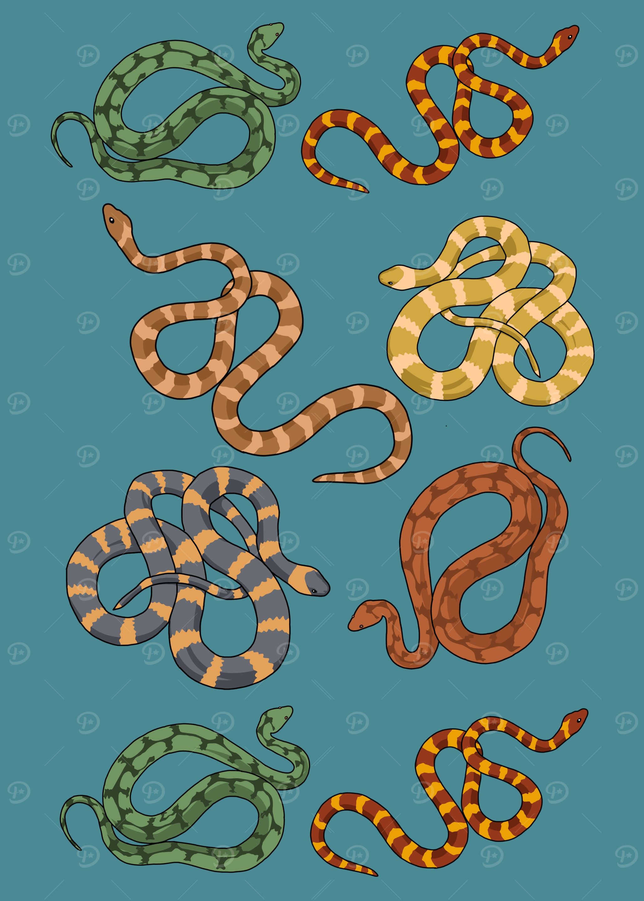 Snake Owner Gift Kids