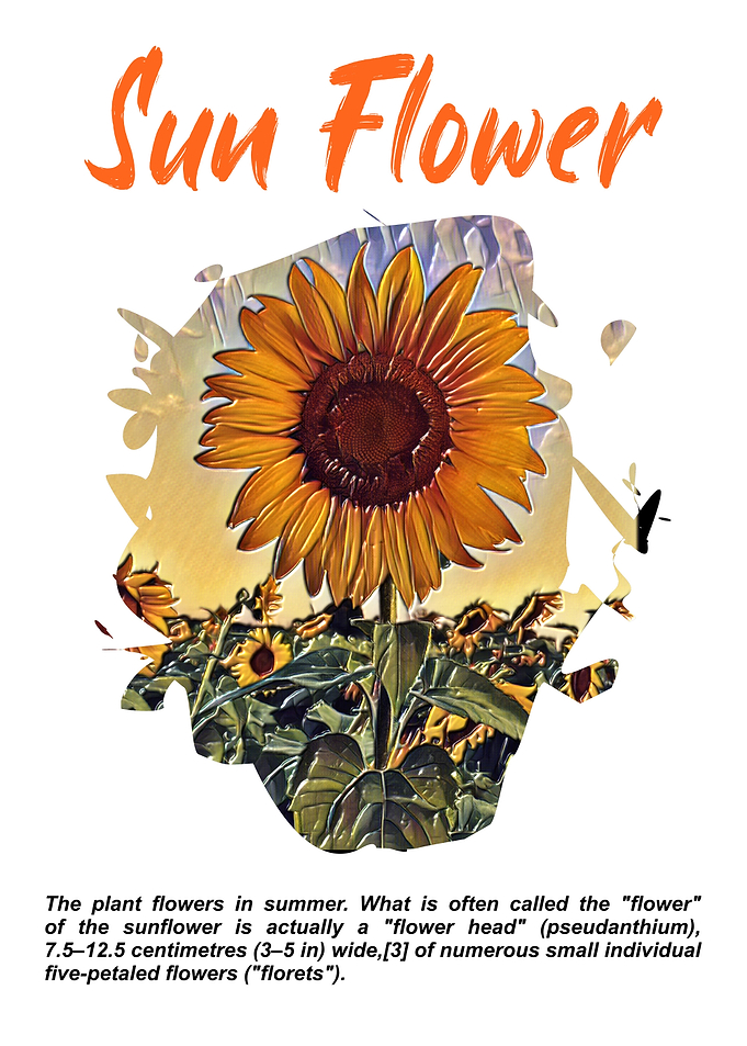 Sun Flower Painting