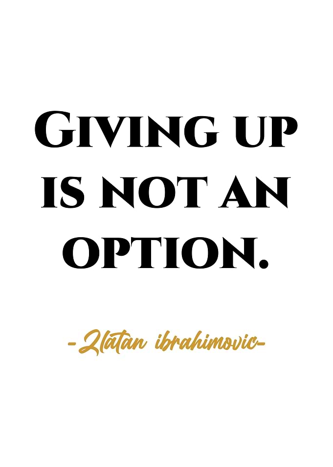 Quotes Success