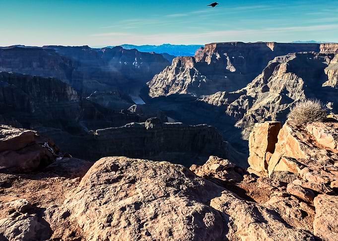 Raven over the canyon