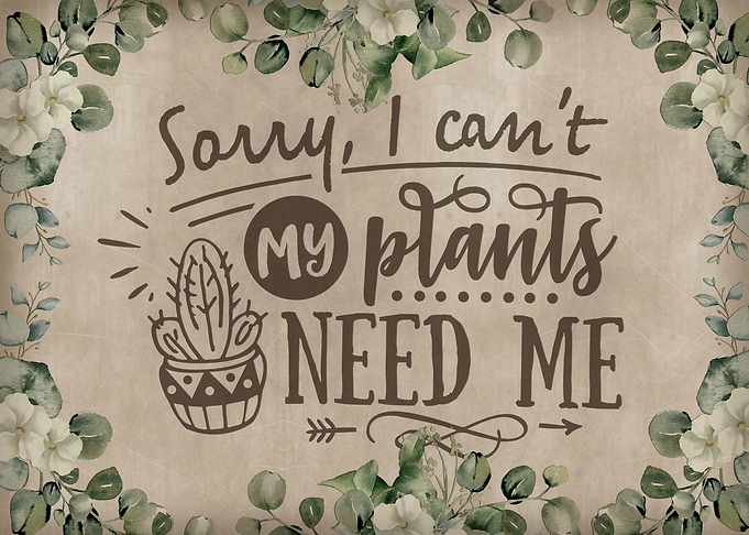 My plants need me