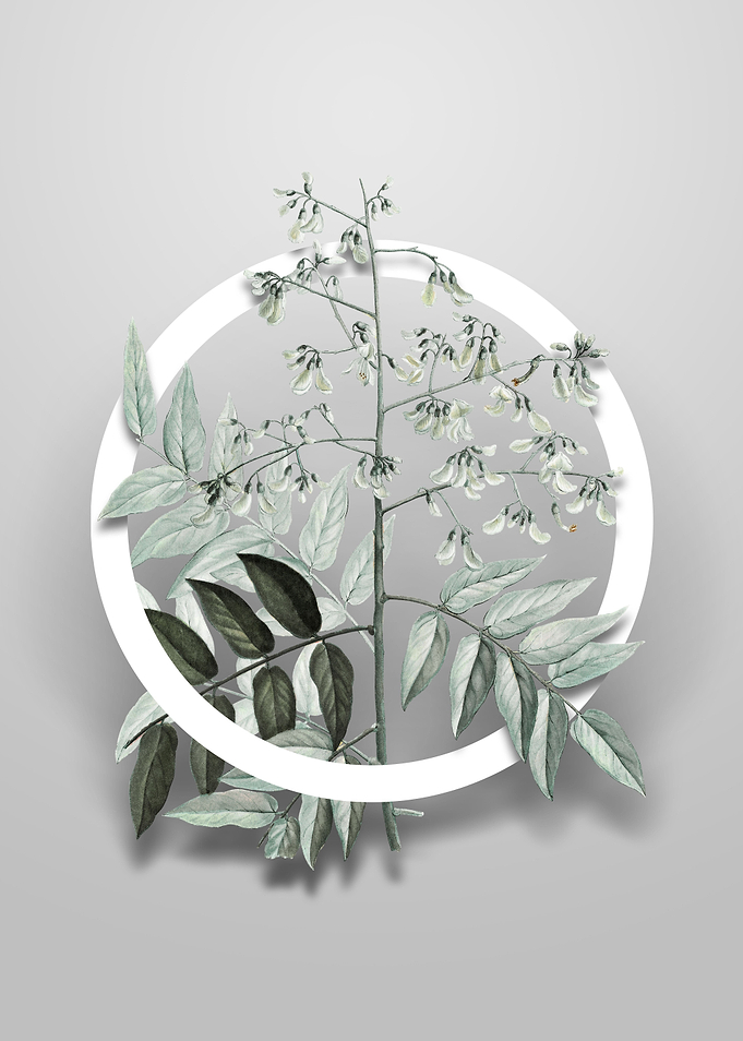 Japanese Pagoda Tree Art