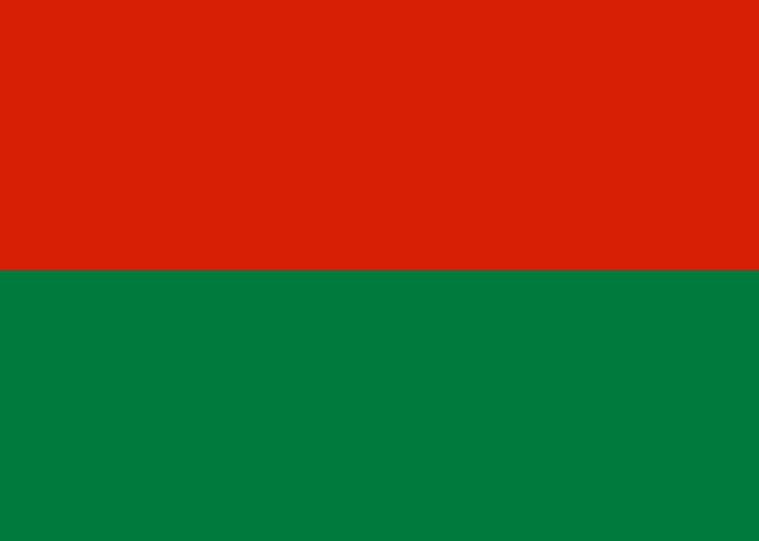 La Paz city flag