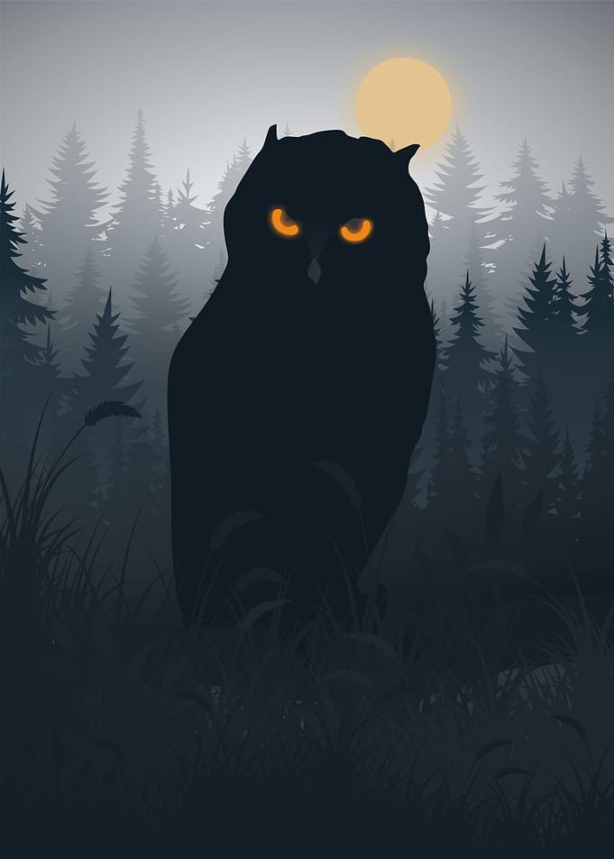 Dark Owl
