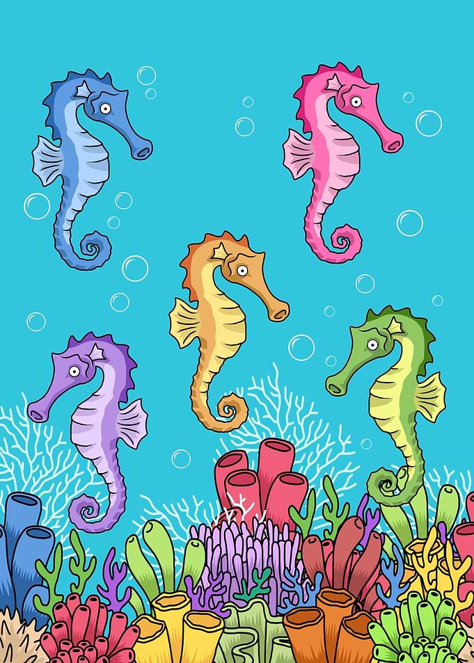 Seahorse Underwater World