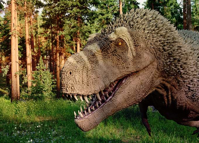 Tyrannosaurus Rex Portrait