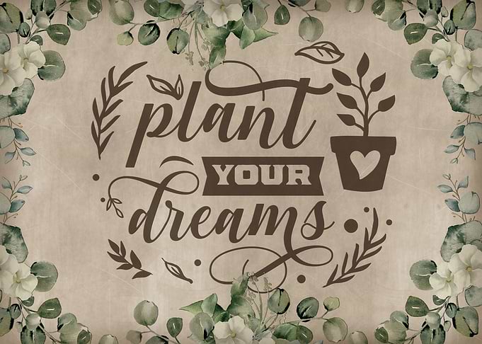 Plant your dreams 2