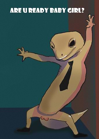 gecko party