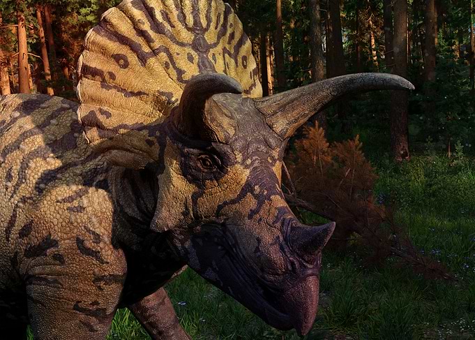 Triceratops Portrait