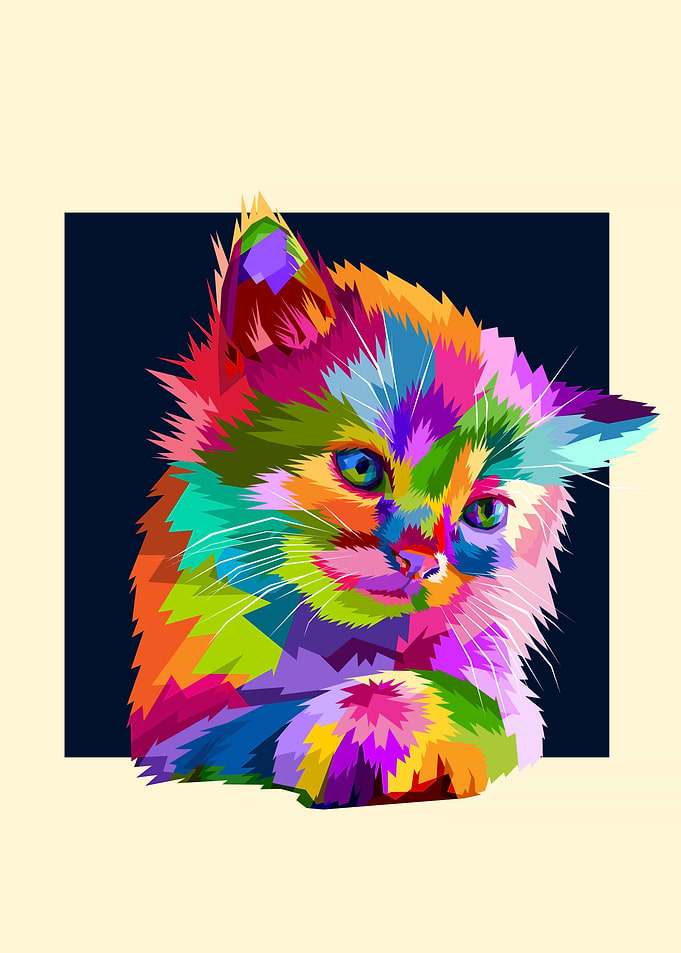 Adorable colorful cat