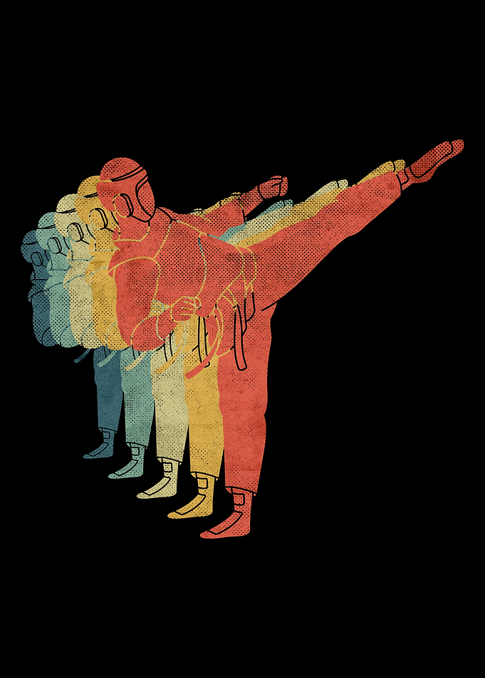 Taekwondo Fighting Retro