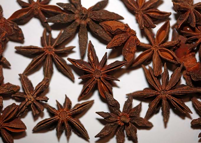 Star anise fruit close up