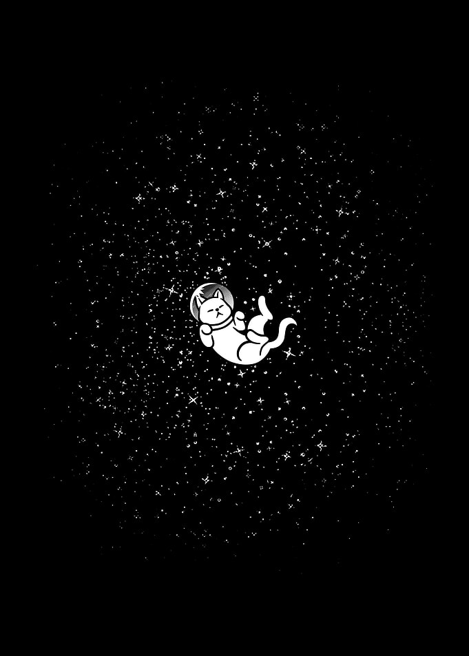 Gravity Cat