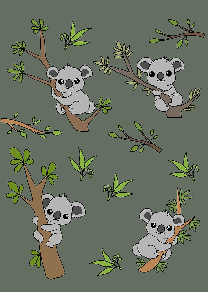Australia Eucalyptus Koala