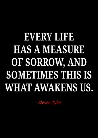 Steven Tyler quotes