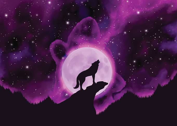 Wolf Howling at the Moon