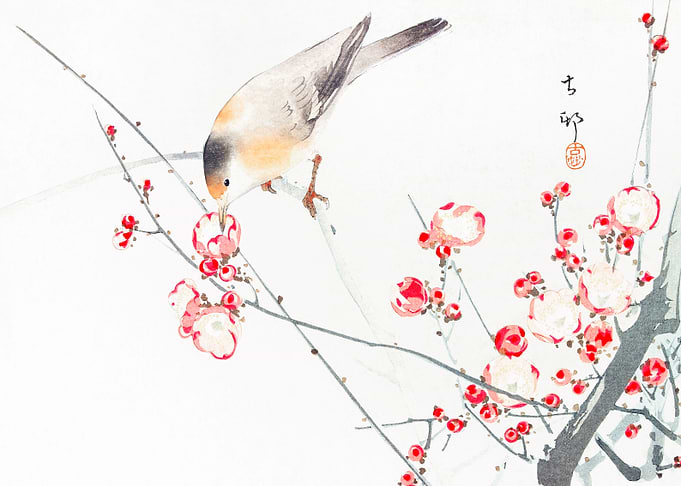 Songbird on blossom branch