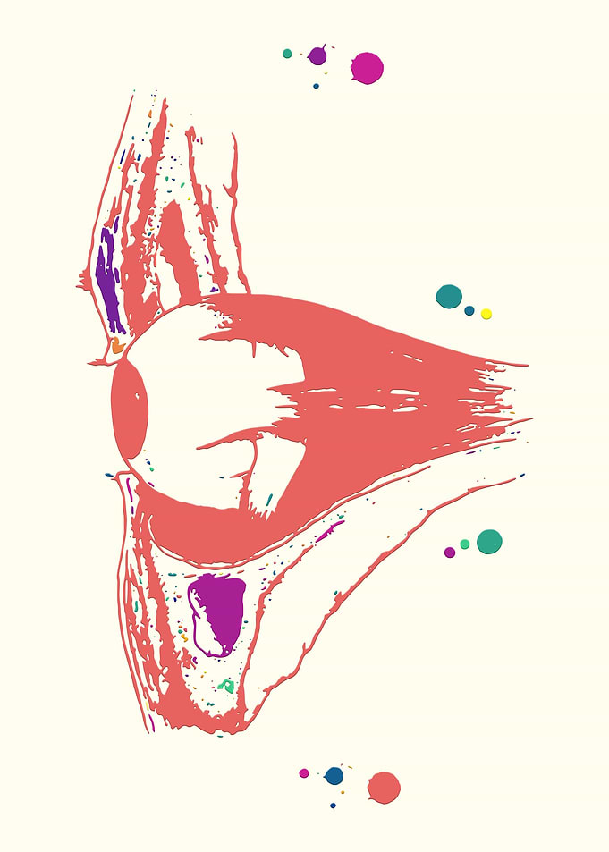 Human eye section