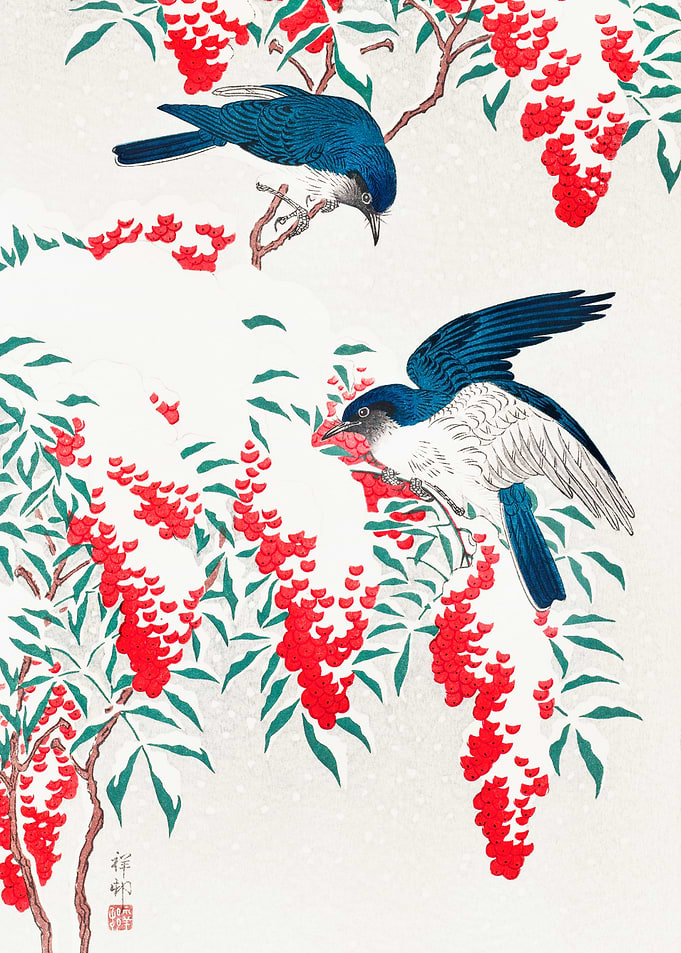 Flycatchers