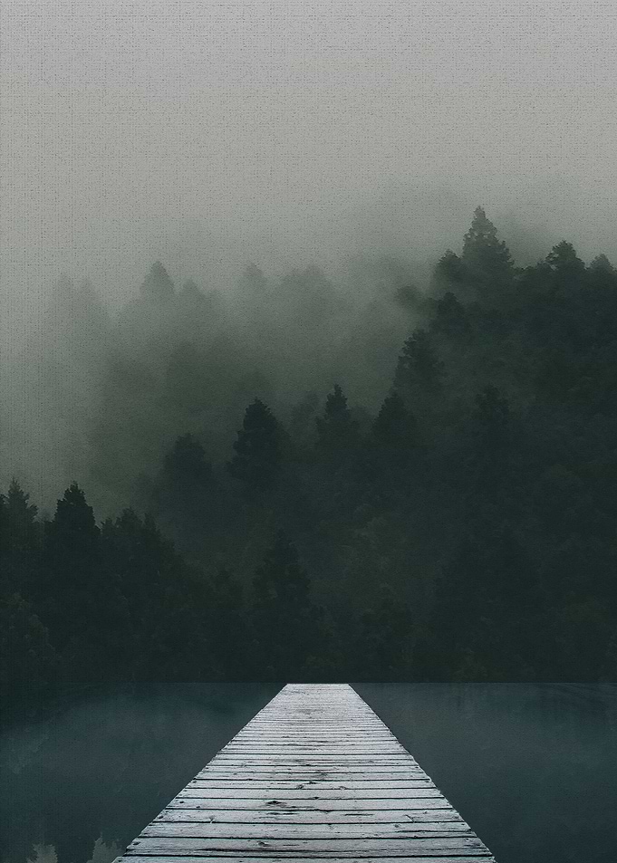 Footbridge In The Forest