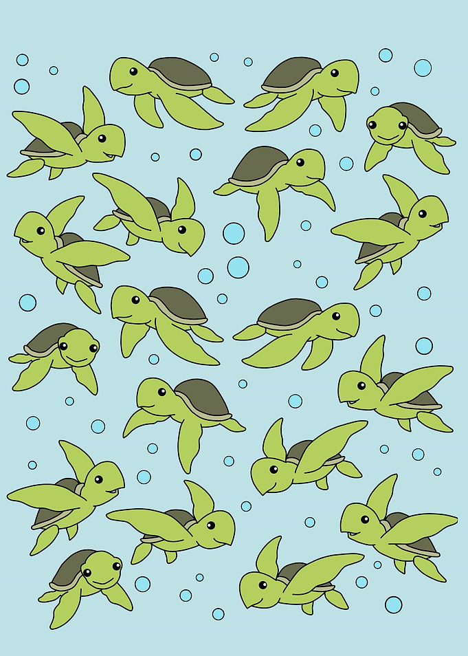 Underwater Sea Turtle Gift