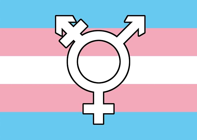 Transgender Flag + Symbol