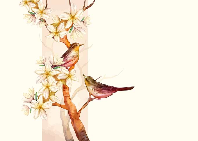 Beautiful flowers