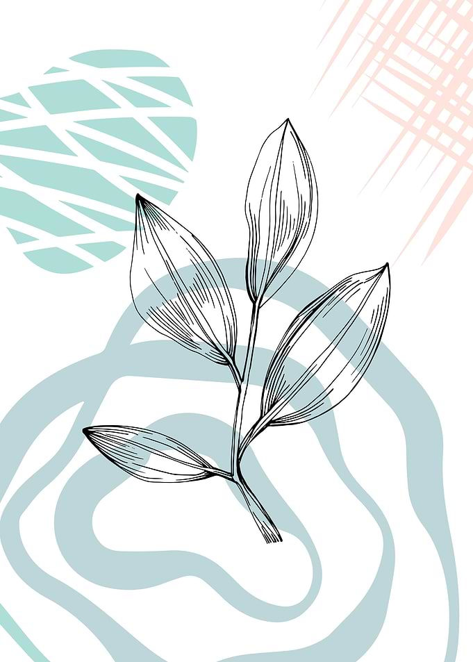 Jojoba Minimalist Decor