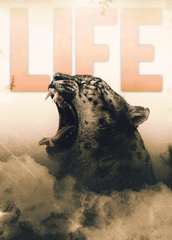 LIFE Roaring Jaguar