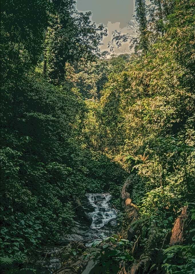 Nature