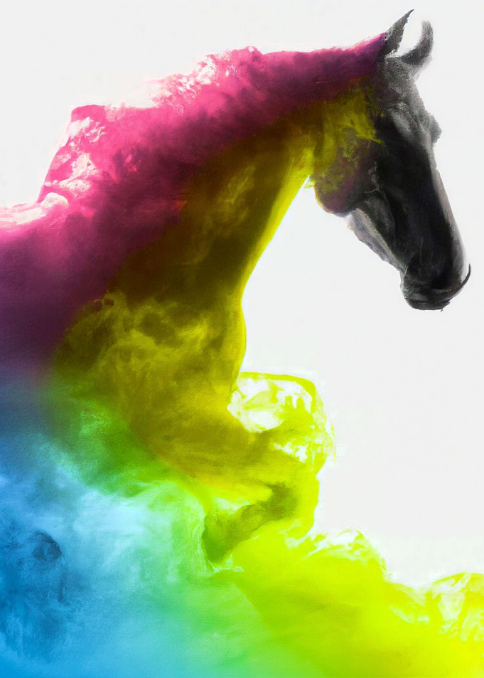 Horse 26