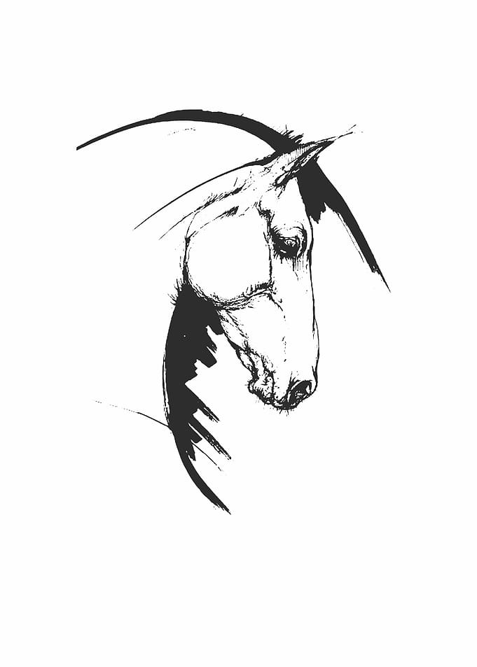 horse